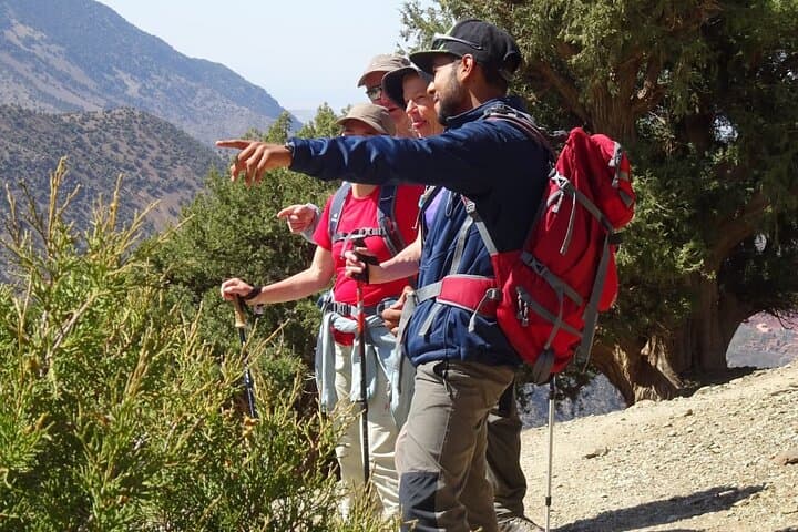 Ourika Valley Day Trip from Marrakech — Setti Fatma Waterfalls & Berber Villages photo 1