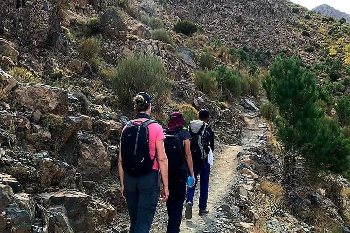 Ourika Valley Day Trip from Marrakech — Setti Fatma Waterfalls & Berber Villages photo 2