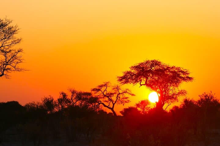 10-Day Hwange, Victoria Falls, Chobe & Okavango Delta Safari Adventure photo 4