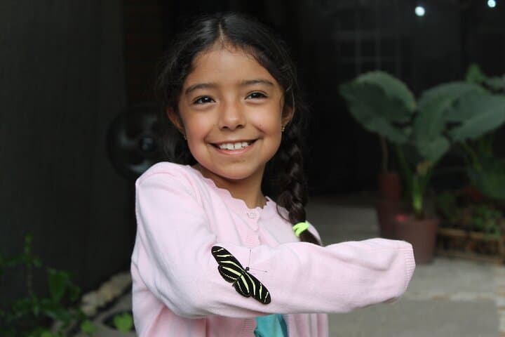 Morpho Butterfly Garden and Tequila Tasting in Puerto Vallarta photo 6