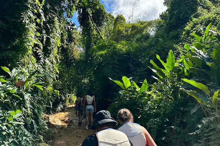 El Yunque Rainforest Adventure: Luquillo Hike, Natural Water Slide & Rope Swing photo 2