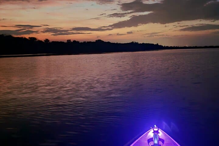 Sunset Glow Kayak Tour on Mosquito Lagoon: Night Kayaking with Biologists photo 3