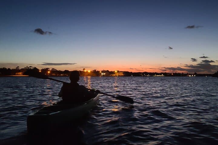 Sunset Glow Kayak Tour on Mosquito Lagoon: Night Kayaking with Biologists photo 4