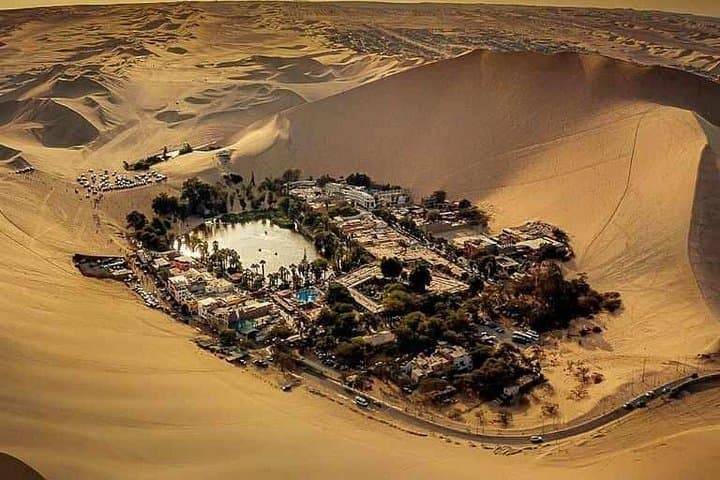 Paracas, Ballestas & Huacachina: Full-Day Ica Adventure from Lima photo 3