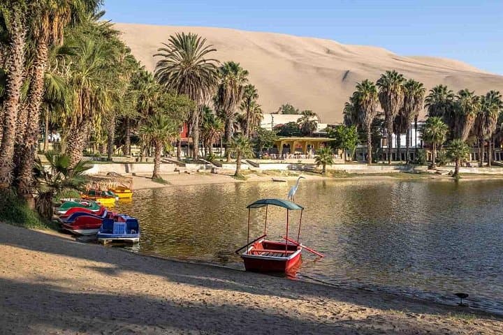 Paracas, Ballestas & Huacachina: Full-Day Ica Adventure from Lima photo 4