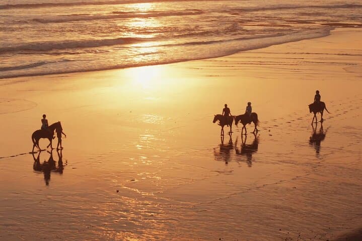 Sunset Horse Ride Across Bali Ricefields to Pig Stone Beach photo 5