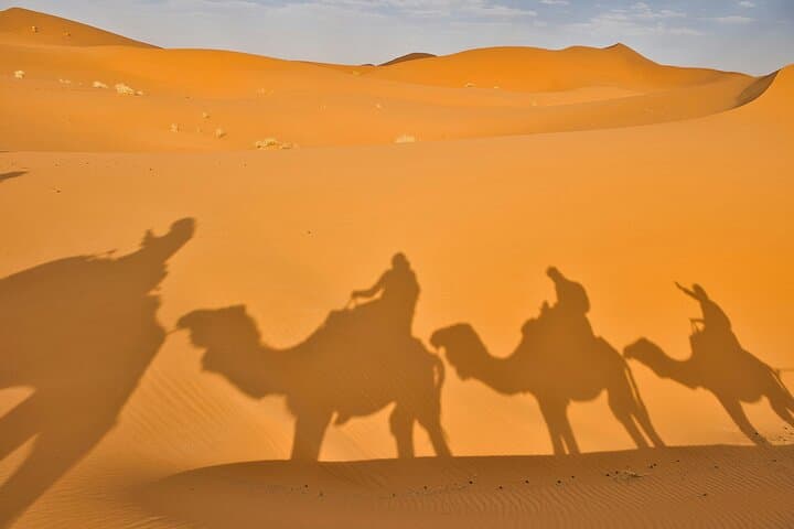 7-Day Sahara Camel Trek: Tunisia's Desert Rose & Bedouin Bivouac photo 3