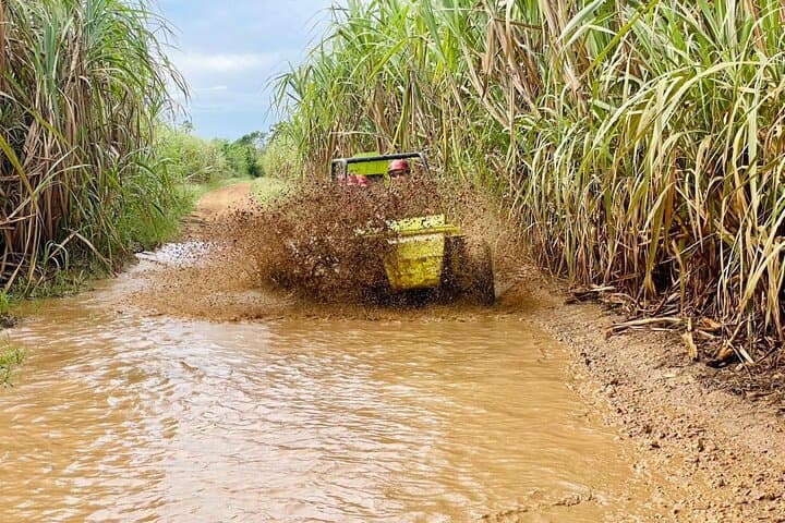Bayahibe Buggy Adventure: Chavón River Swim & Local Tastings photo 5