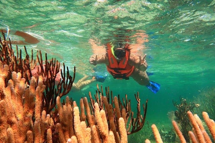 ATV Combo in Puerto Morelos: Reef Snorkel, Jungle ATVs, Ziplines & Cenote Lunch photo 1