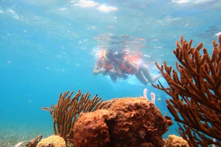 ATV Combo in Puerto Morelos: Reef Snorkel, Jungle ATVs, Ziplines & Cenote Lunch photo 3