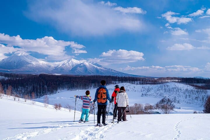 Scenic Hills Snowshoeing in Biei — Private Winter Tour photo 2