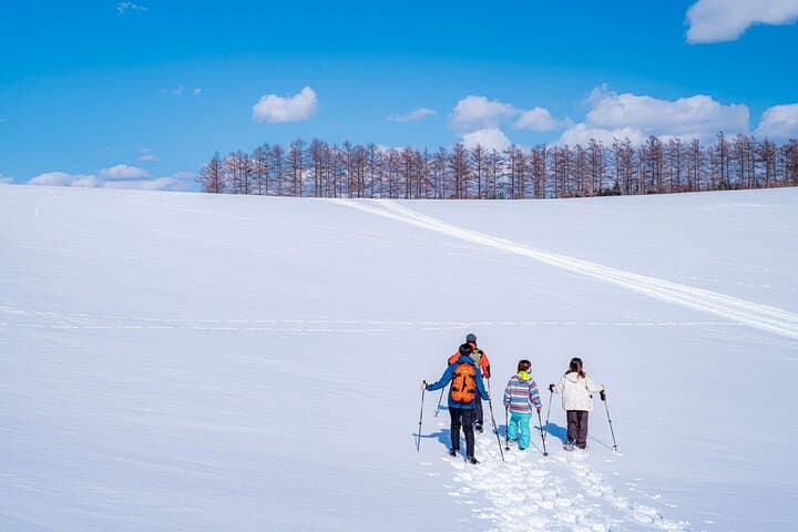 Scenic Hills Snowshoeing in Biei — Private Winter Tour photo 3