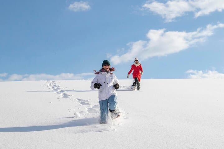 Scenic Hills Snowshoeing in Biei — Private Winter Tour