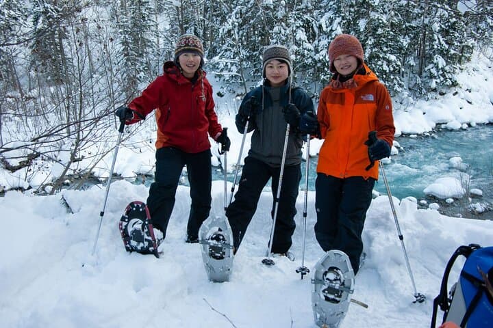 Winter Snowshoeing Among White Birches at Blue Pond (Shirogane Onsen)