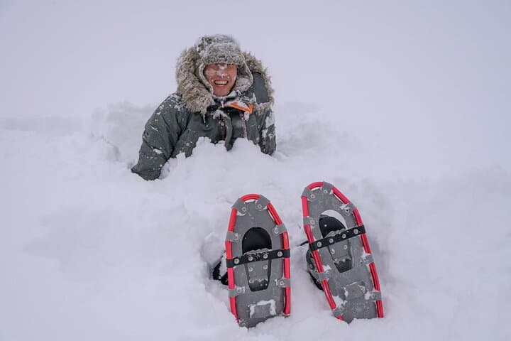 Winter Snowshoeing Among White Birches at Blue Pond (Shirogane Onsen) photo 2