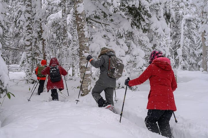 Winter Snowshoeing Among White Birches at Blue Pond (Shirogane Onsen) photo 3
