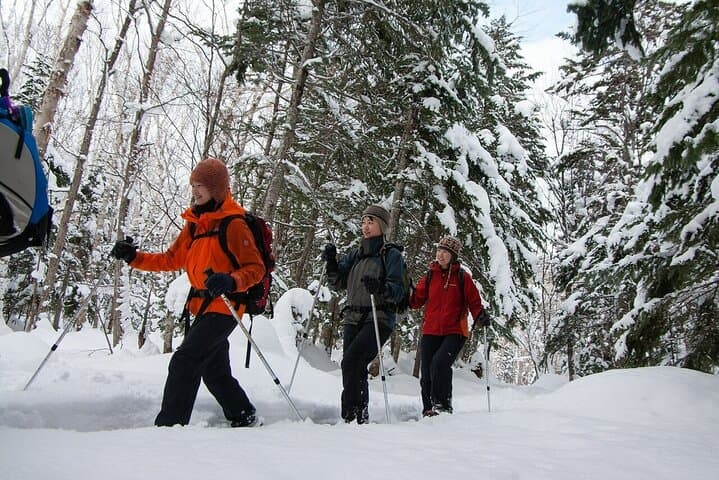 Winter Snowshoeing Among White Birches at Blue Pond (Shirogane Onsen) photo 5