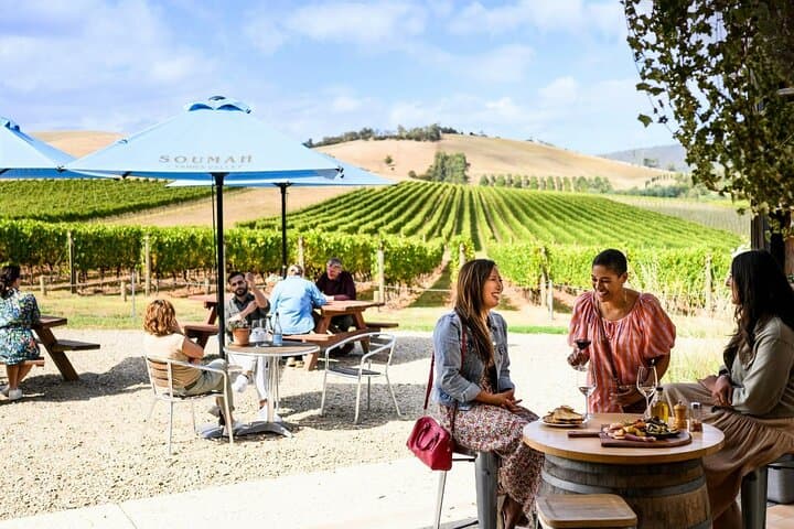 Yarra Valley Half-Day Winery Tour from Melbourne — Small-Group Tastings & Scenic Views photo 2