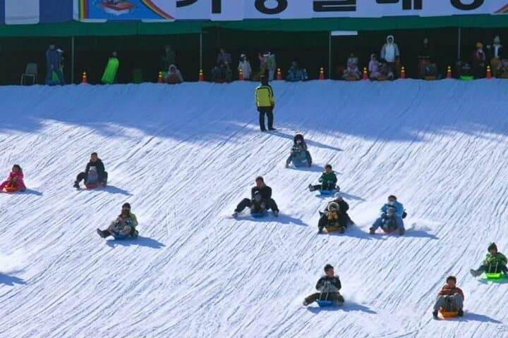 Strawberry Picking & Snow Sledding in Eobi Valley and Gapyeong Sheep Ranch photo 3