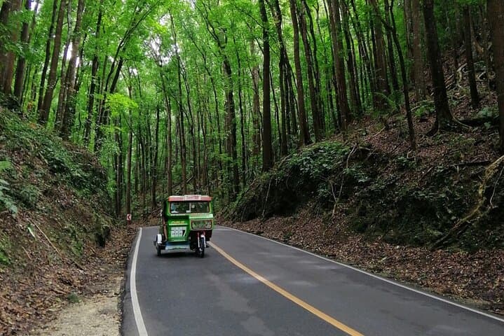Bohol Choco Tour: Loboc River Lunch, Tarsiers & Chocolate Hills photo 5