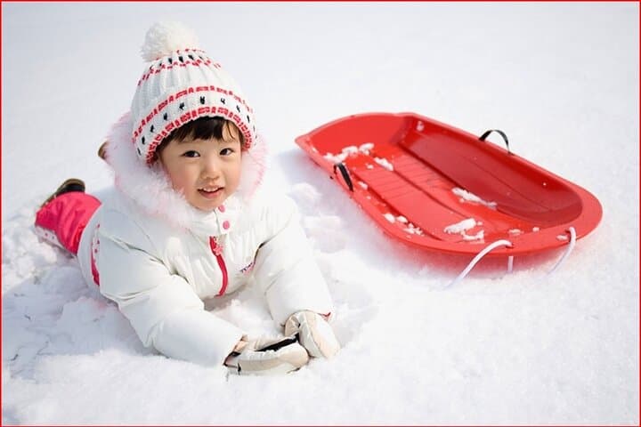 Strawberry Picking & Snow Sledding in Eobi Valley and Gapyeong Sheep Ranch photo 5