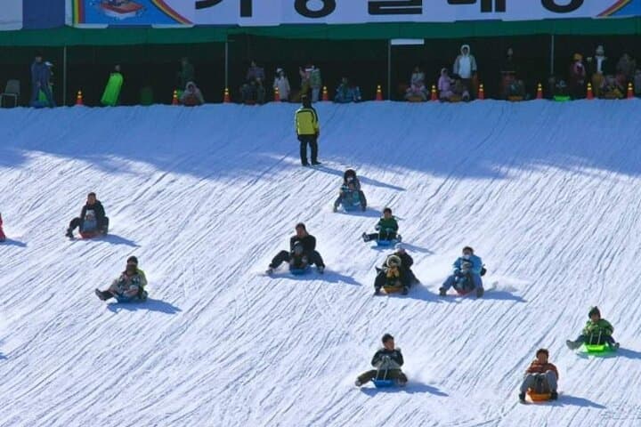 Strawberry Picking & Snow Sledding in Eobi Valley and Gapyeong Sheep Ranch photo 6