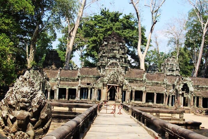 Sunrise at Angkor: Private Temple Tour of Angkor Wat, Ta Prohm & Bayon photo 4