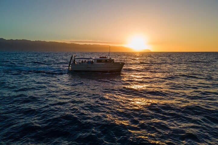 North Shore Oahu Whale Watching from Haleiwa — Native-Owned Boat Tours