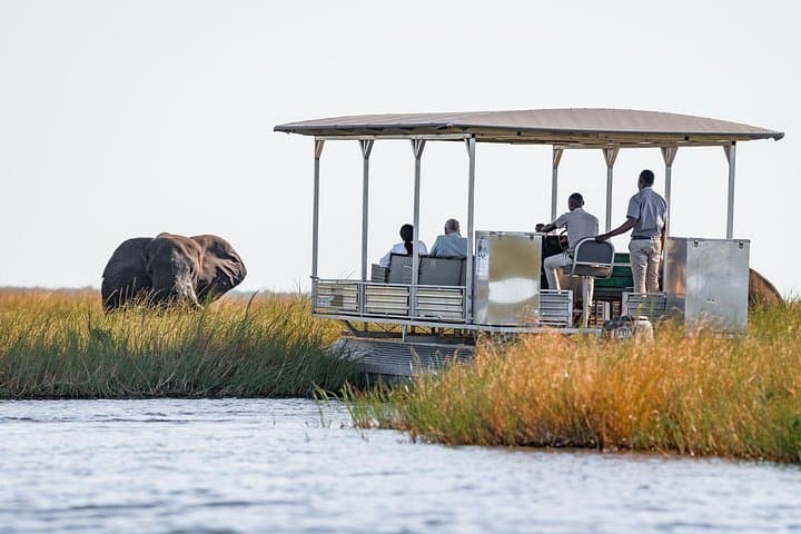 Chobe Camping Safari: 3-Day Game Drives & Boat Safaris from Victoria Falls photo 1