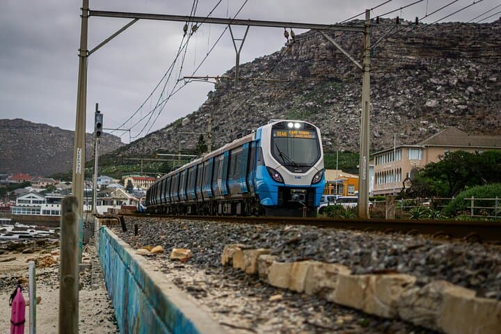 Full-Day Cape Peninsula Tour: Cape of Good Hope, Boulders Beach & Cape Point photo 4