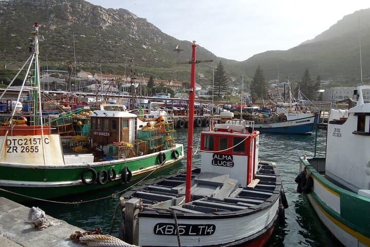 Private Full-Day Cape of Good Hope Tour: Cape Point, Boulders Beach & Chapman’s Peak photo 6