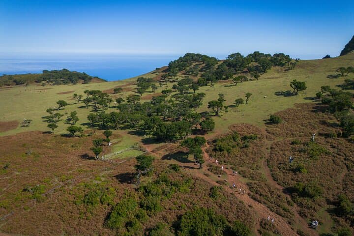 West Madeira Day Tour: Fanal Forest, Cabo Girão & Porto Moniz photo 2