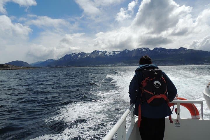 Beagle Channel Cruise from Ushuaia: Penguins, Sea Lions & Les Eclaireurs Lighthouse photo 4