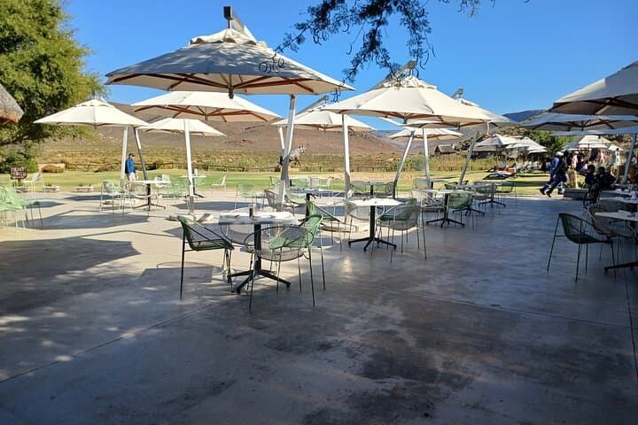Overnight Big Five Safari from Cape Town — 1-Night All-Inclusive at Aquila photo 3