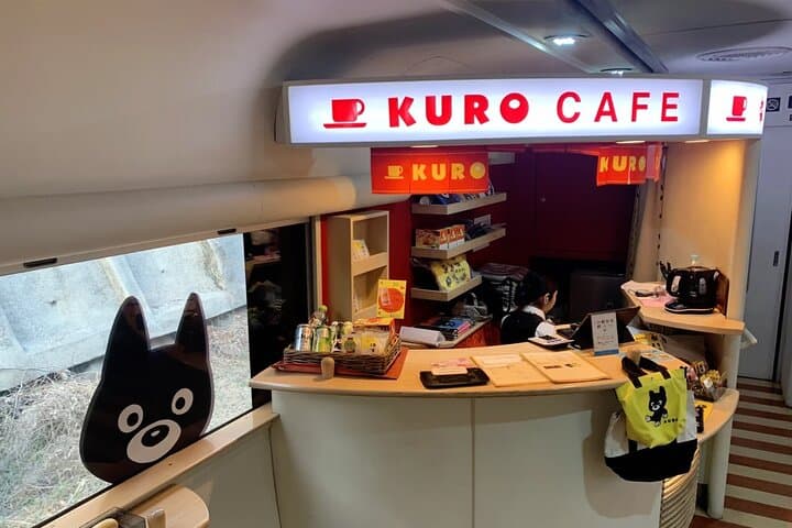 Aso Volcano, Kumamoto Castle & Aso Boy Train: Full-Day Kyushu Adventure photo 2