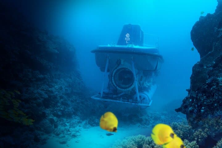 Mauritius Unique Submarine Tour: 45-Minute Submersible Dive to Coral Reefs & Shipwreck photo 2