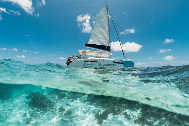 Northeast Mangrove Catamaran Cruise: Snorkel & Ilot Bernache Day Trip photo 4