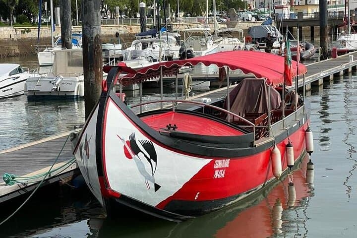 Arade River Boat Tour to Silves — Flamingos, Herons & Medieval Silves Cruise