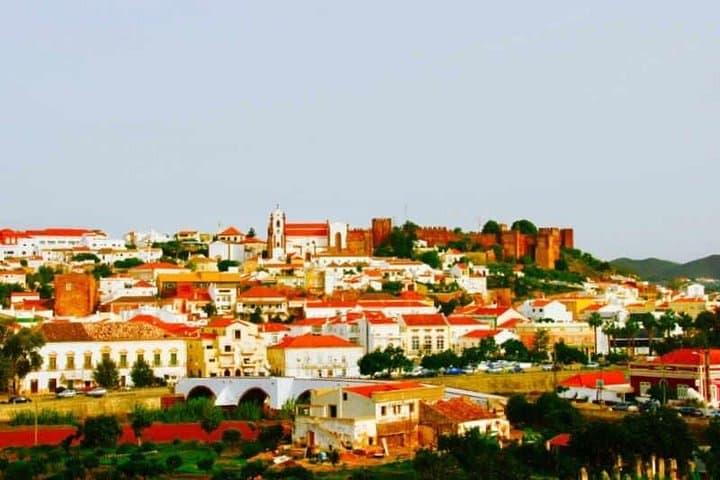 Arade River Boat Tour to Silves — Flamingos, Herons & Medieval Silves Cruise photo 2