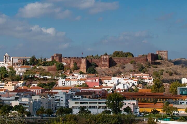Arade River Boat Tour to Silves — Flamingos, Herons & Medieval Silves Cruise photo 3
