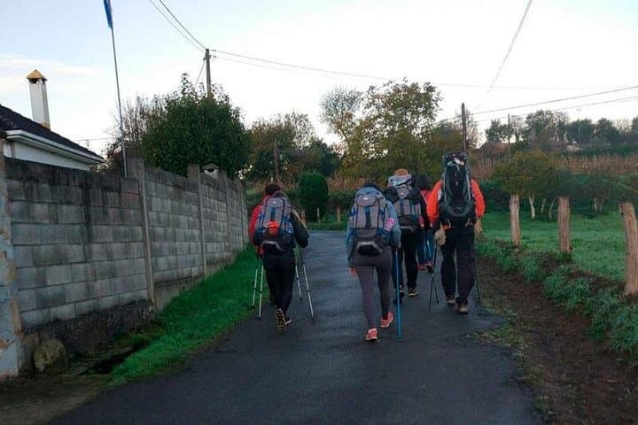Camino Francés: Sarria to Santiago in 5 Days — 100 km Pilgrimage Guide photo 3