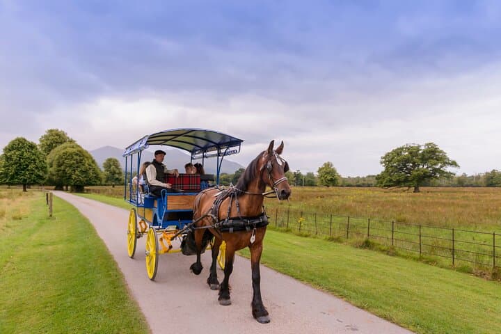 Jaunting Car to Ross Castle: A Classic Killarney National Park Ride photo 2