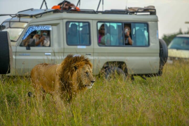 10-Day Bush and Beach Safari from Nairobi — Samburu to Diani Beach