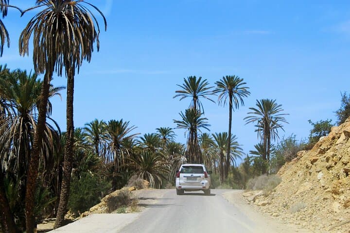 Agadir Atlas Mountains: Tamri Dunes, Berber Tea & Coastal Birdwatching