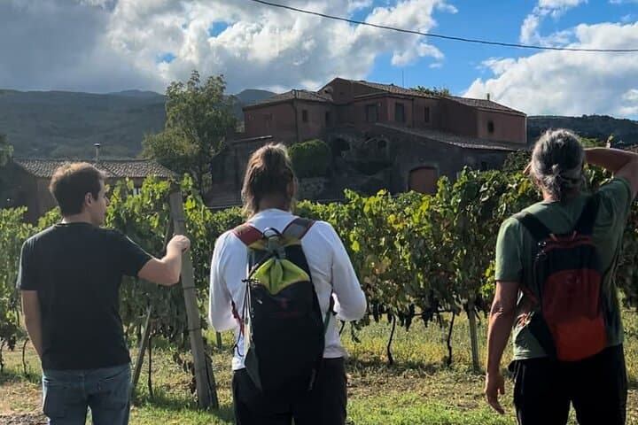 Private Mount Etna Hike and 200-Year-Old Winery Lunch from Taormina photo 6