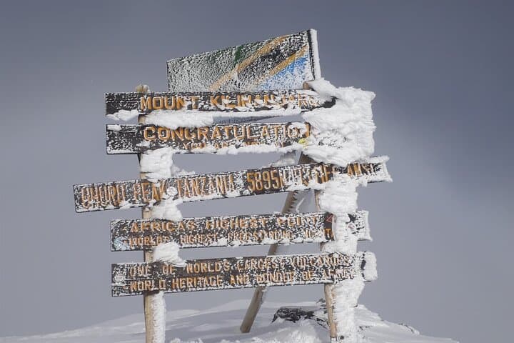 Lemosho Route Day Trip: Hike to Shira Plateau on Mount Kilimanjaro photo 5