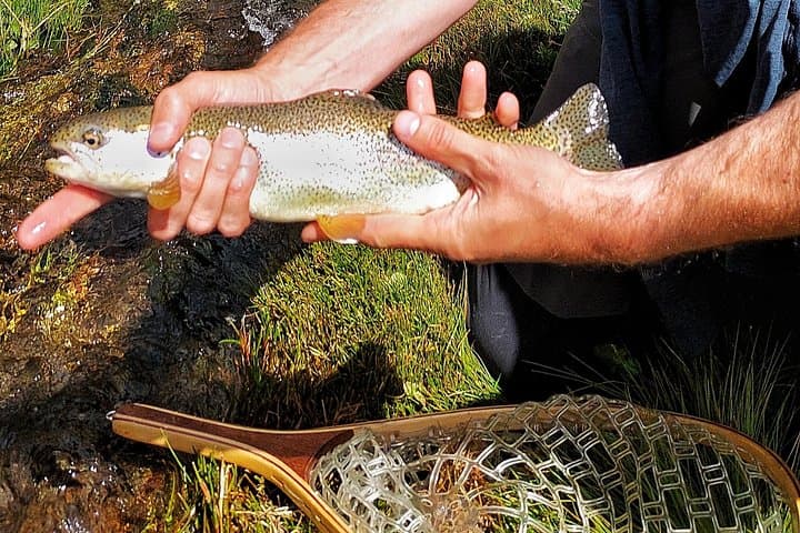 Fly Fishing at Estancia La Carrera: Guided Day Trip from Mendoza photo 3