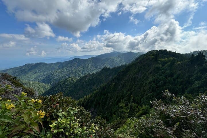 Best of the Smokies: Custom Private Day Hike and Scenic Tour photo 1