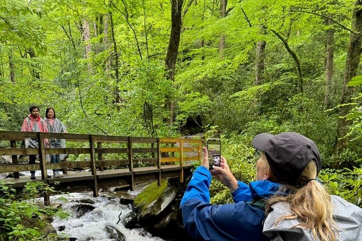 Best of the Smokies: Custom Private Day Hike and Scenic Tour photo 2