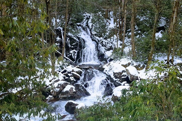 Best of the Smokies: Custom Private Day Hike and Scenic Tour photo 4